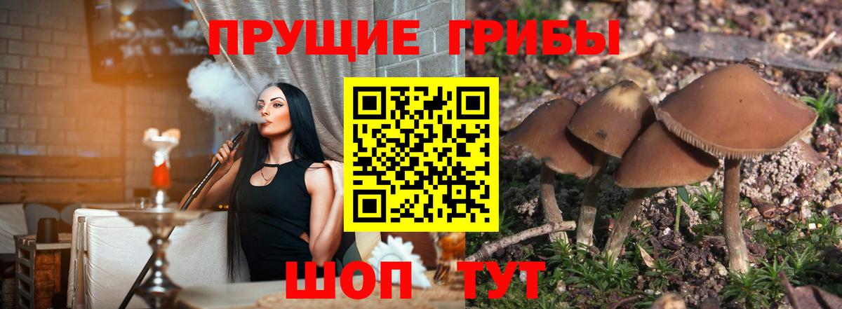 Галлюциногенные грибы GOLDEN TEACHER Звенигород