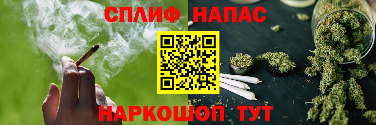 Конопля сатива Звенигород